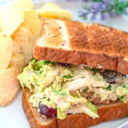Avocado Chicken Salad -- This Avocado Chicken Salad is quick and easy to make for a delicious lunch on the go. I love grapes in chicken salad, but you can use any chicken salad add-ins you want! | wearenotmartha.com