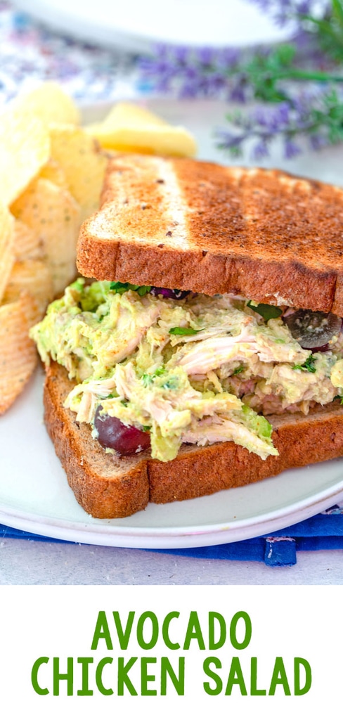 Avocado Chicken Salad -- This Avocado Chicken Salad is quick and easy to make for a delicious lunch on the go. I love grapes in chicken salad, but you can use any chicken salad add-ins you want! | wearenotmartha.com #chickensalad #easylunch #sandwiches #avocado