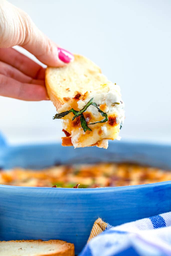 Hand holding a crostini with bacon white pizza dip with basil on it over the dish containing the rest of the dip