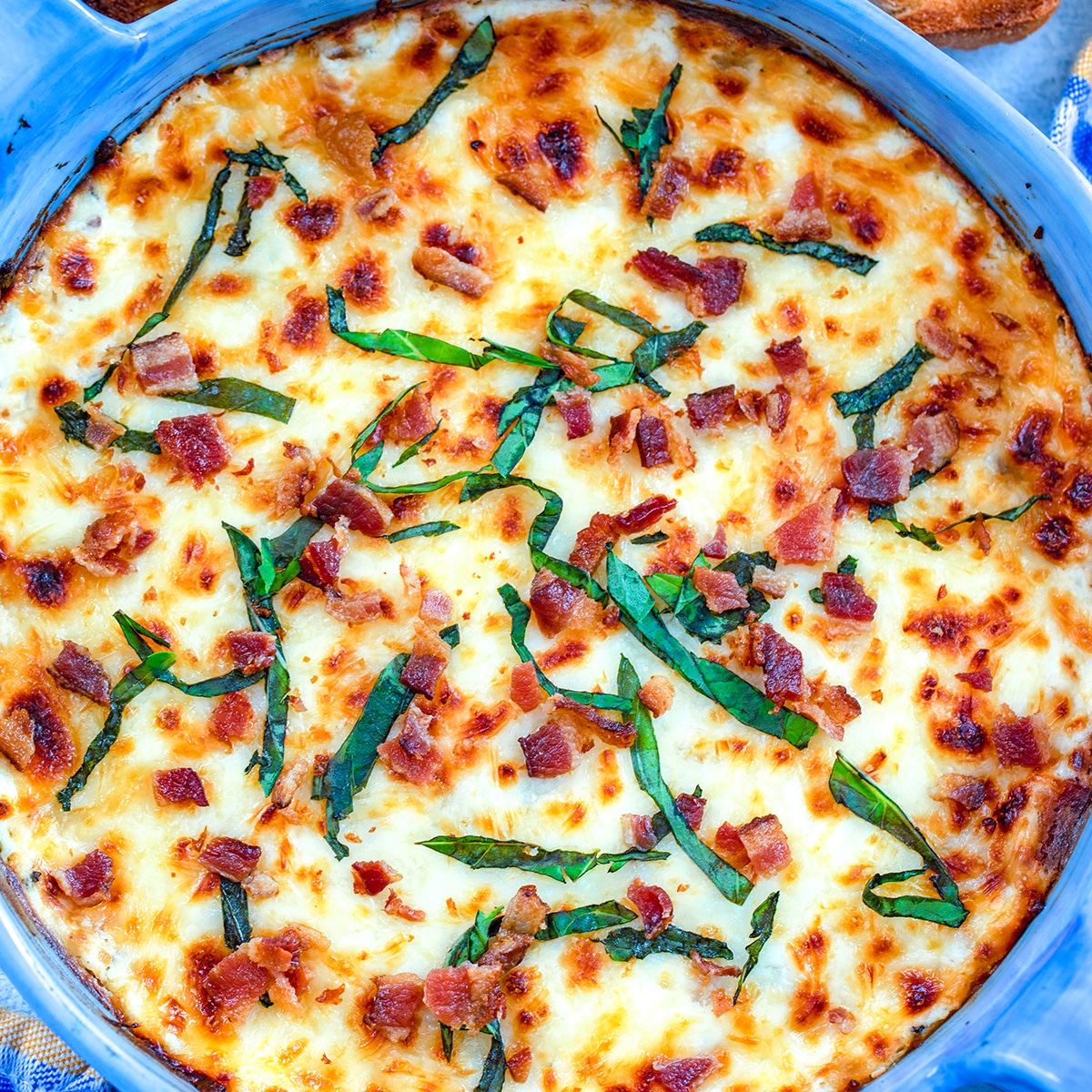 Overhead closeup view of bacon white pizza dip topped with crumbled bacon and fresh basil