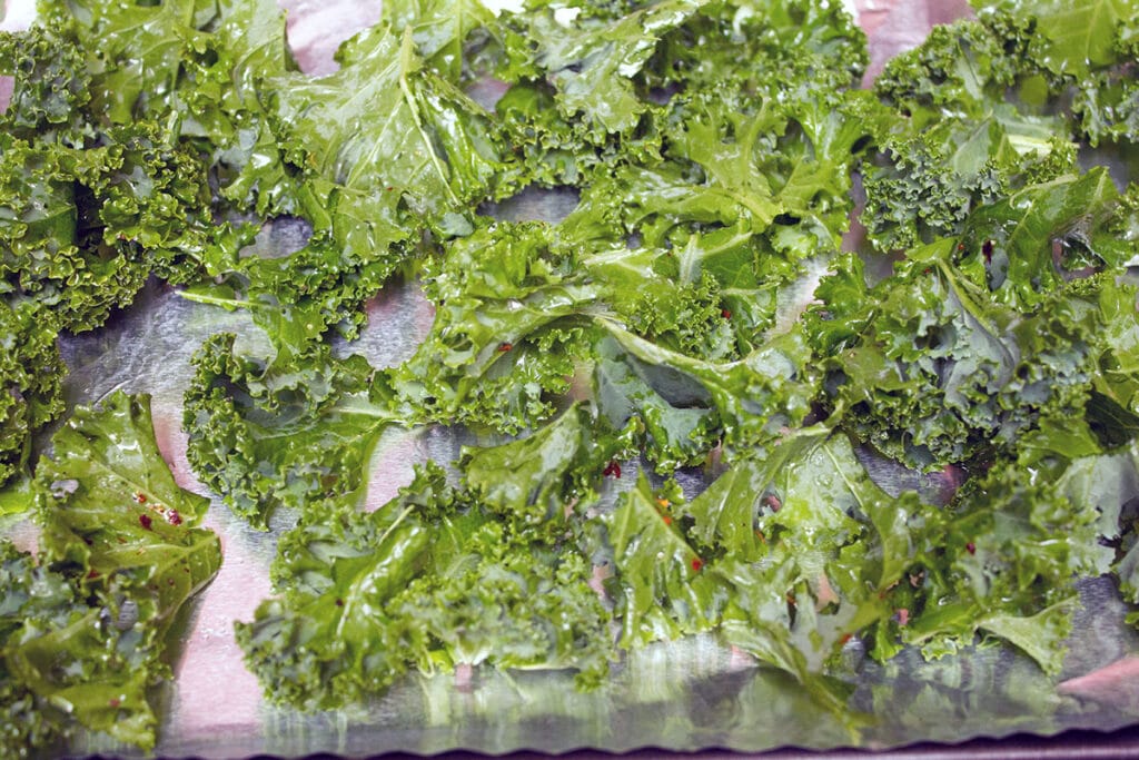 Baked kale just out of oven on baking sheet