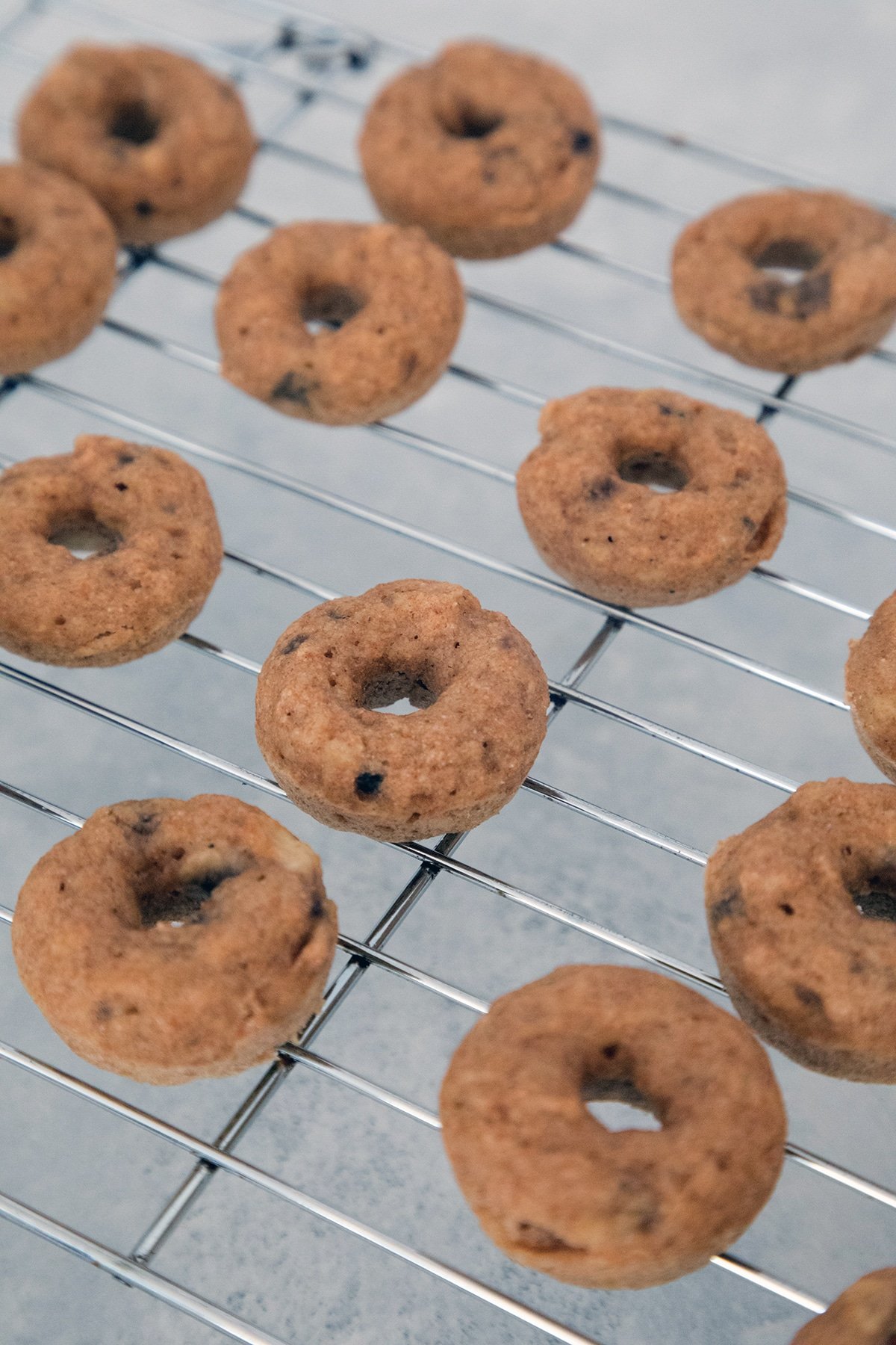 Banana Doughnuts for Dogs Recipe We are not Martha