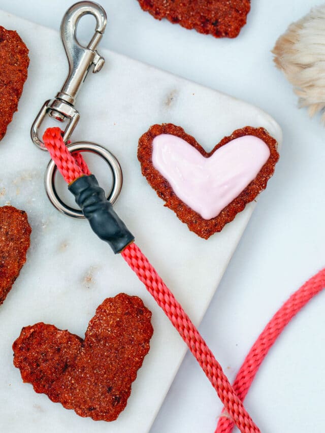 Beet Cookies for Dogs Story