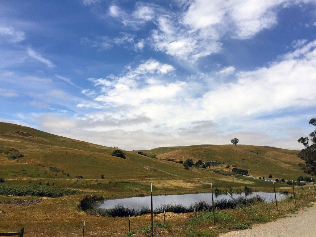The View at Bellwether Farms in Sonoma | wearenotmartha.com