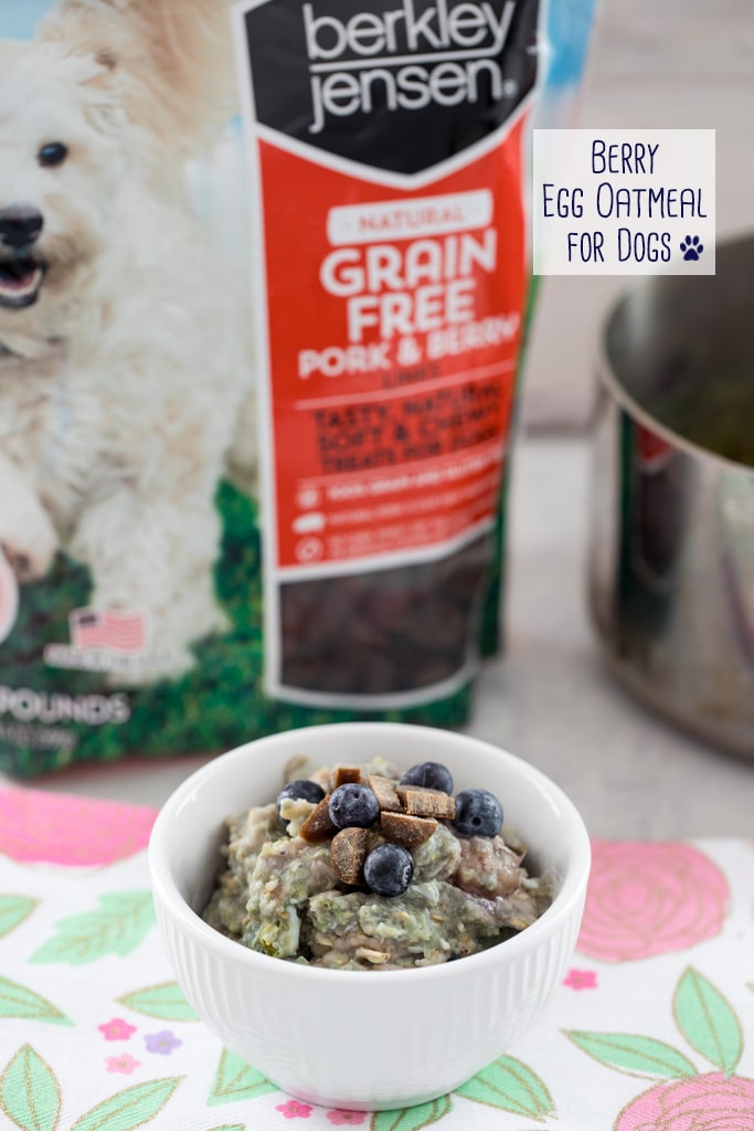 healthiest breakfast for dogs