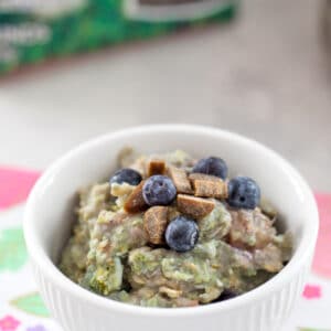 Berry Egg Oatmeal for Dogs -- a fiber and protein-packed breakfast, this Berry Egg Oatmeal for Dogs is made with love and topped with treats for an extra special meal for your furry friend! | wearenotmartha.com