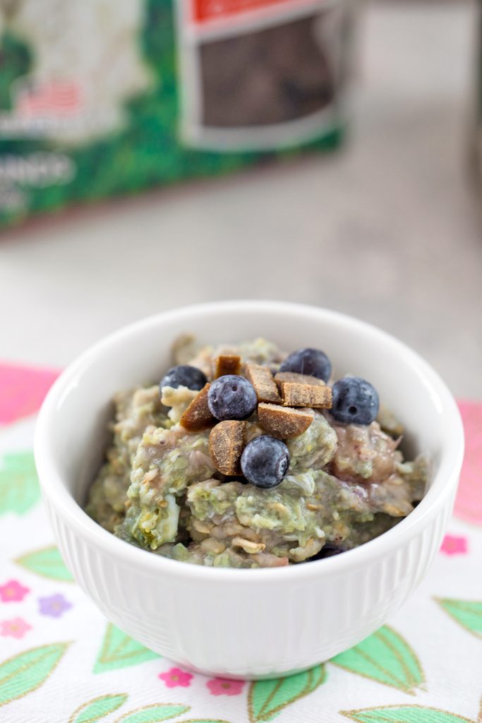 Overhead close-up of a small white bowl of berry egg oatmeal for dogs topped with treats and blueberries on flowered tea towel with bag of treats in the background