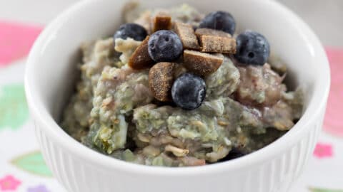 Berry Egg Oatmeal for Dogs