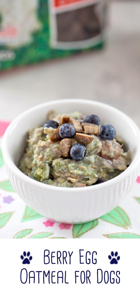 Berry Egg Oatmeal for Dogs