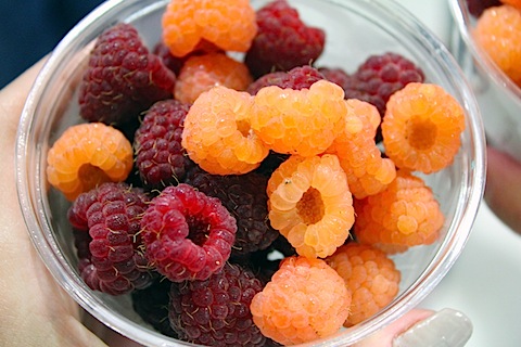 Big-E-Raspberries.jpg