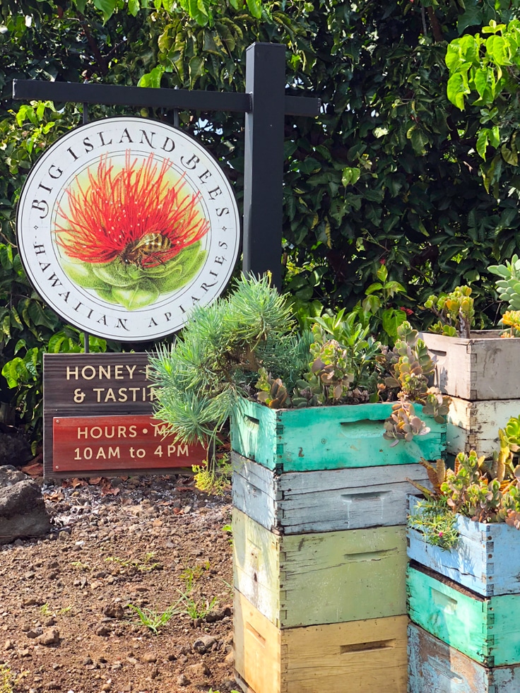 Entrance to Big Island Bees in Kona on the Big Island of Hawaii with a sign and planters with succulents 