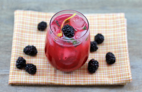 Blackberry-Lemon-Gin-Fizz-1.jpg