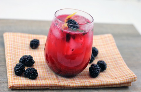 Blackberry-Lemon-Gin-Fizz-3.jpg