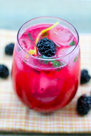 Blackberry-Lemon-Gin-Fizz-5.jpg