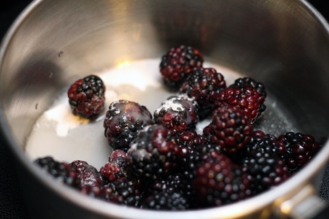 Blackberry-Lemon-Gin-Fizz-Blackberries.jpg