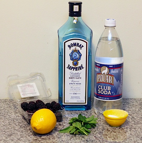 Blackberry-Lemon-Gin-Fizz-Ingredients.jpg