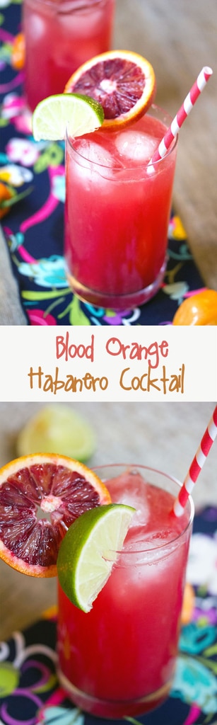 Blood Orange Habanero Cocktail