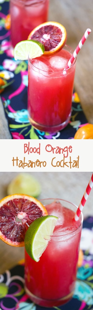 Blood Orange Habanero Cocktail Recipe | We are not Martha