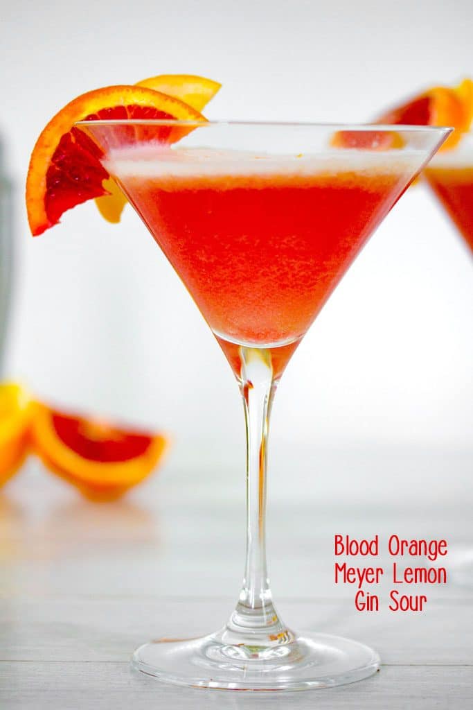 Head-on view of blood orange meyer lemon gin sour in a martini glass with a blood orange garnish, blood orange slices in the background and recipe title at bottom