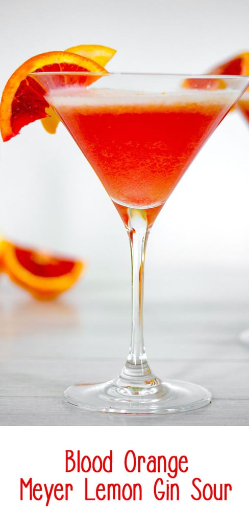 Blood Orange Meyer Lemon Gin Sour -- Winter citrus combines with gin and a little maple syrup for this Blood Orange Meyer Lemon Gin Sour. The vibrant color of a blood orange cocktail will always impress guests | wearenotmartha.com #gin #cocktails #sour #bloodorange #meyerlemon