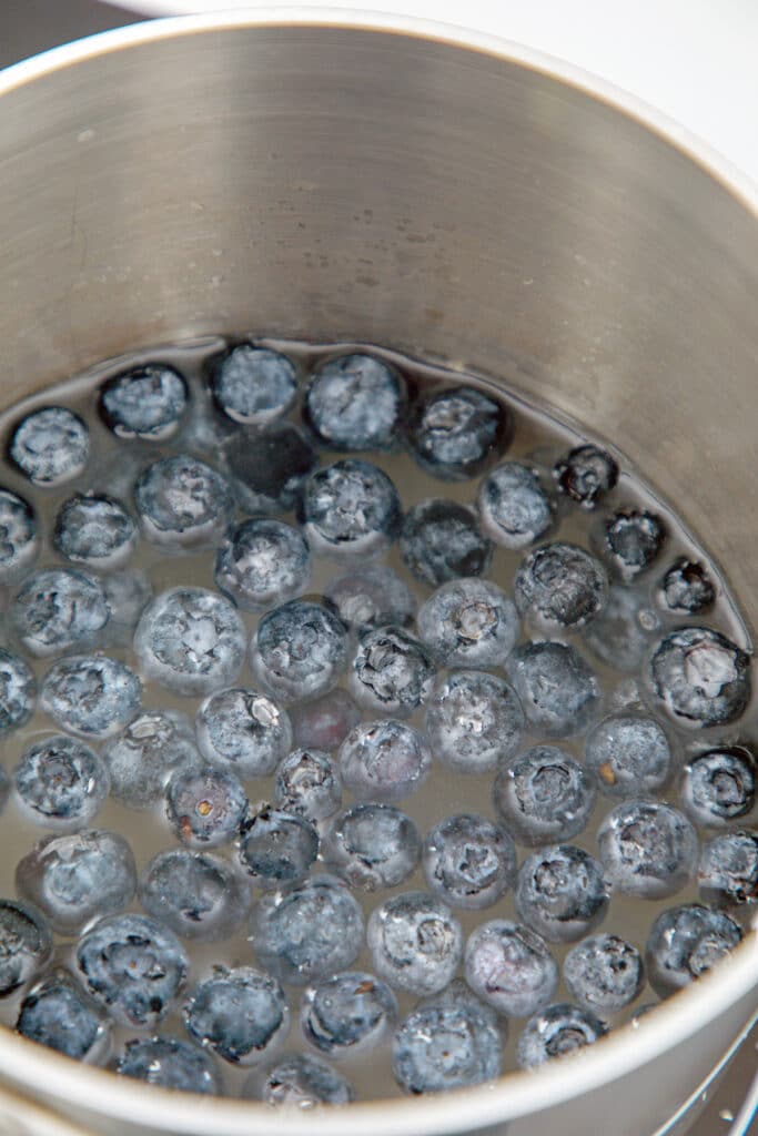 Fresh blueberries, water, and sugar in a saucepan.