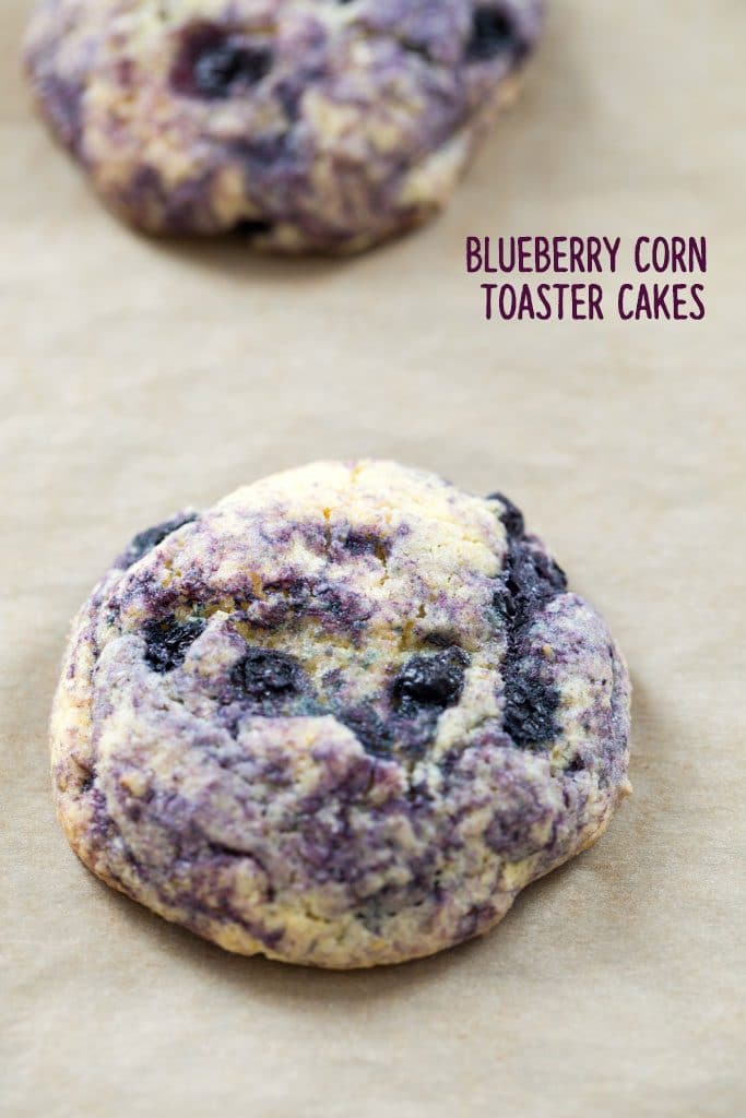 Closeup of a Blueberry Corn Toaster Cake just out of the oven on a parchment paper-lined cookie sheet