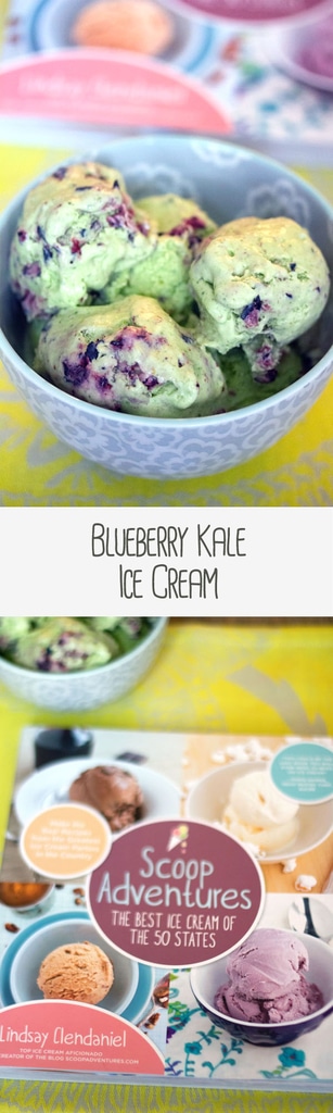 Blueberry Kale Ice Cream -- This unique ice cream flavor will blow your mind and convince you that kale in ice cream is a very good idea | wearenotmartha.com