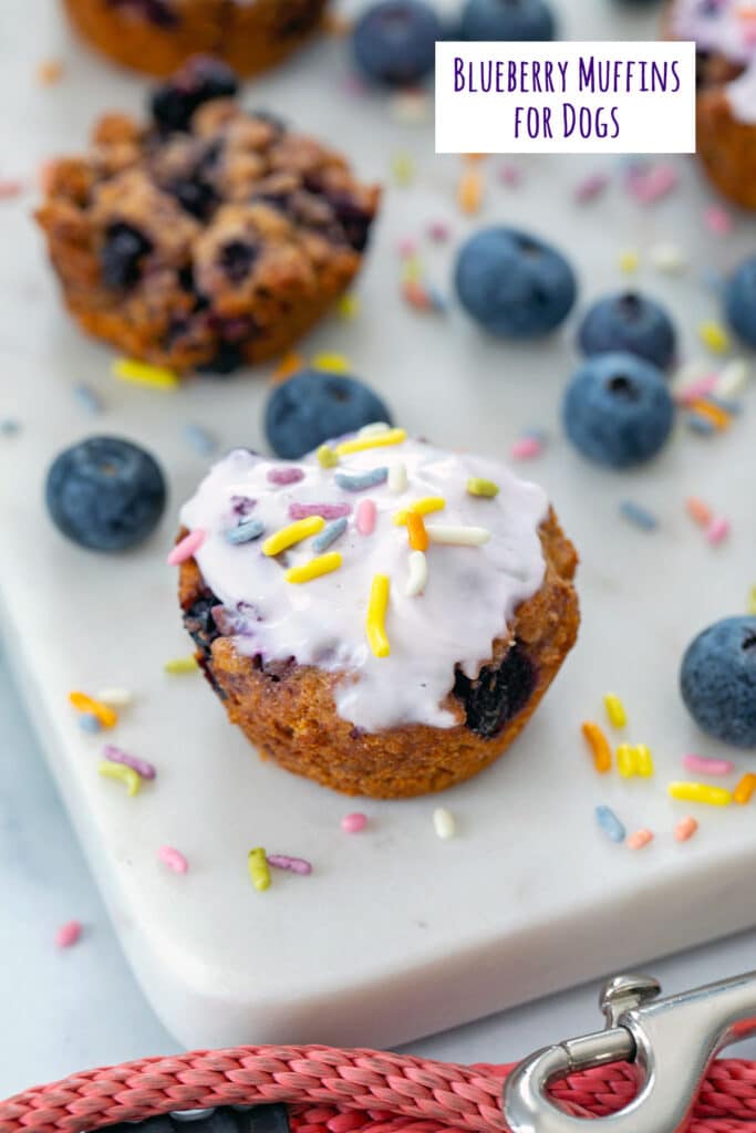 Blueberry muffins for dogs on marble platter with blueberries and sprinkles all around, dog leash in front, and recipe title at top.