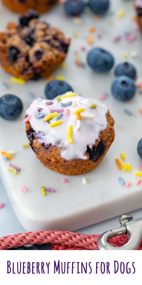 Blueberry Muffins for Dogs