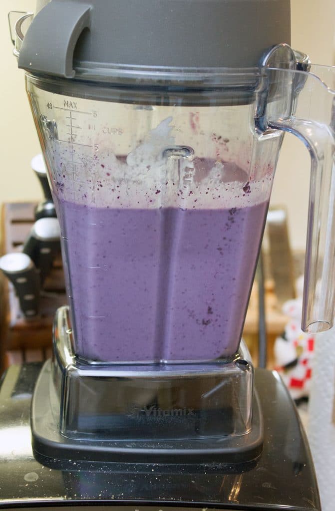 Blueberry Pie Milkshake blended in Vitamix blender