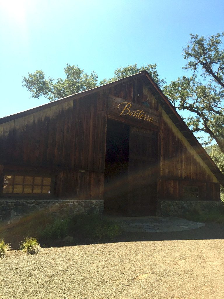 Bonterra Vineyard, California | wearenotmartha.com