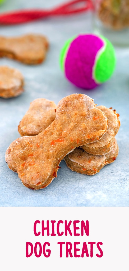 Homemade Chicken Dog Treats Recipe We are not Martha