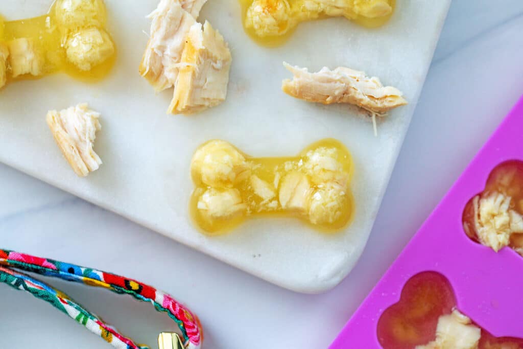 Landscape overhead view of multiple bone-shaped chicken jello treats for dogs with shredded chicken, dog collar, and silicone molds in background