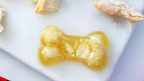 Chicken Jello for Dogs