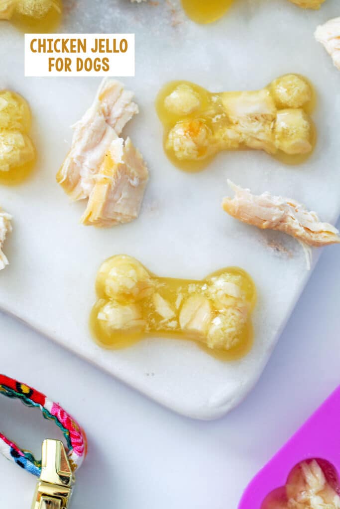 Overhead view of multiple bone-shaped chicken jello for dogs with shredded chicken breast, dog collar, and bone molds with recipe title at top