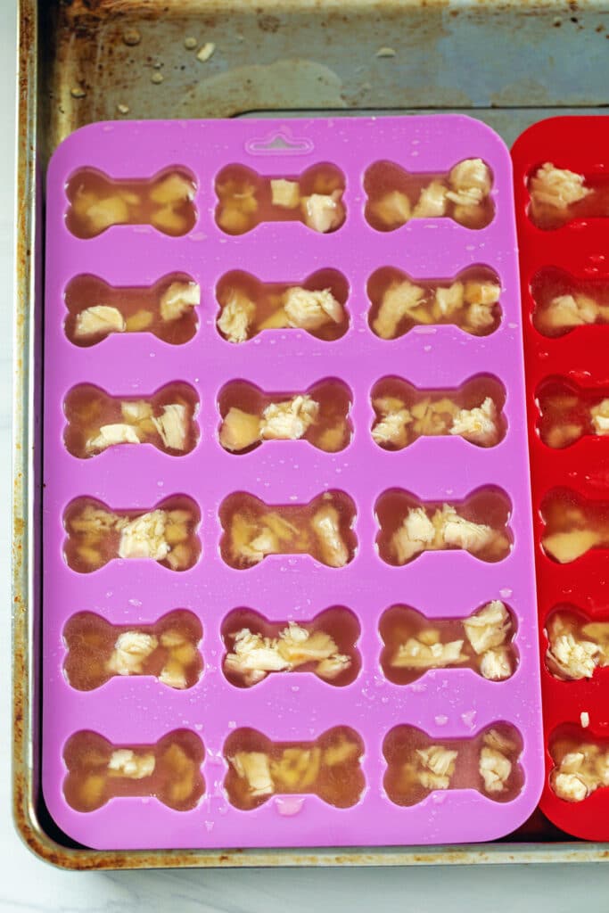 Chicken jello mixture poured into dog bone-shaped silicone molds