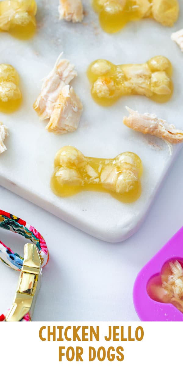 Chicken Jello for Dogs