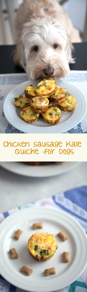 Chicken Sausage Kale Quiche for Dogs -- This dog-friendly recipe features mini crustless quiche | wearenotmartha.com