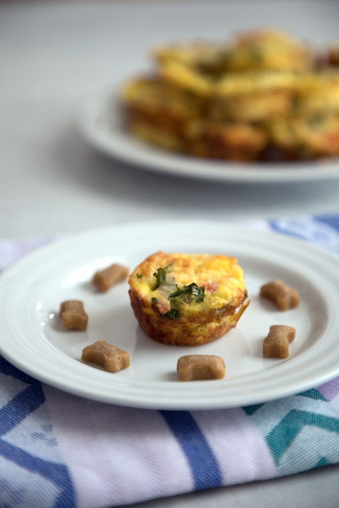 Chicken Sausage Kale Quiche for Dogs -- This dog-friendly recipe features mini crustless quiche | wearenotmartha.com