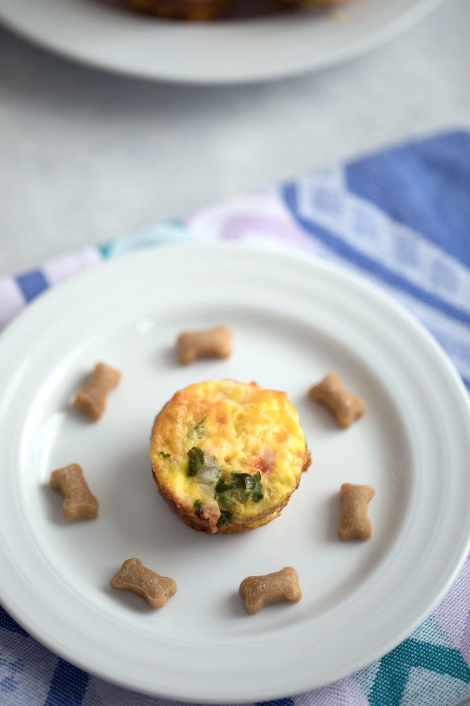 Chicken Sausage Kale Quiche for Dogs -- This dog-friendly recipe features mini crustless quiche | wearenotmartha.com