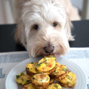 Chicken Sausage Kale Quiche for Dogs -- This dog-friendly recipe features mini crustless quiche | wearenotmartha.com