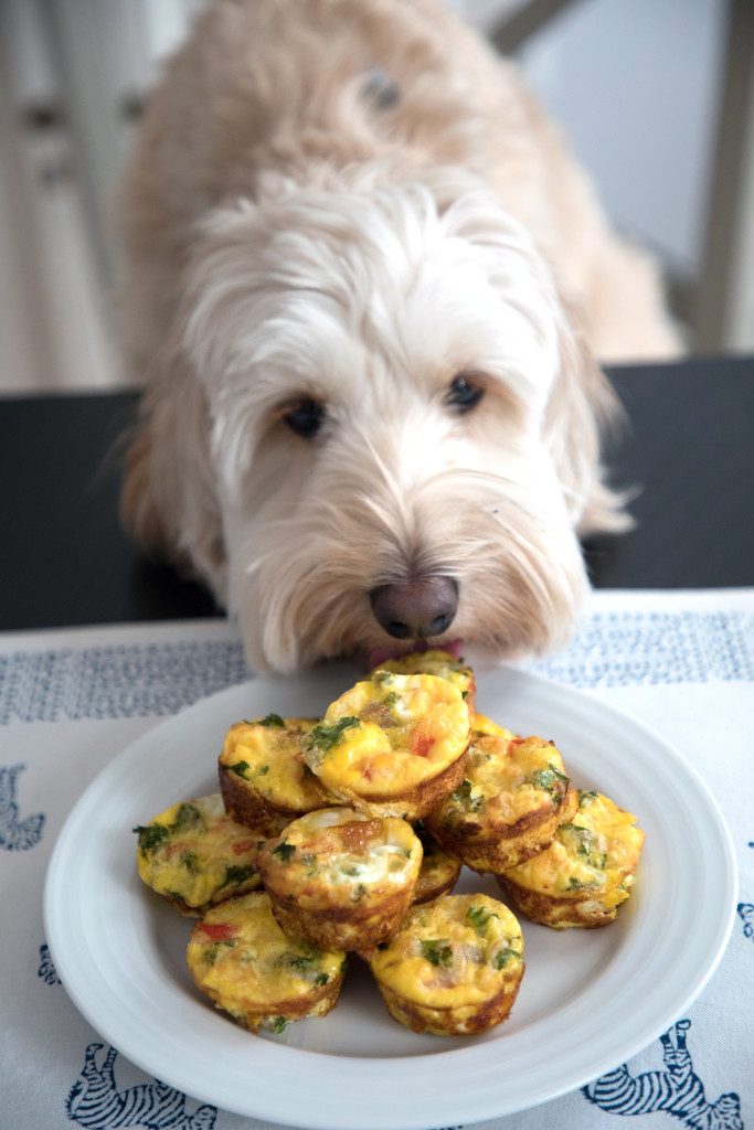 Chicken Sausage Kale Quiche for Dogs -- This dog-friendly recipe features mini crustless quiche | wearenotmartha.com