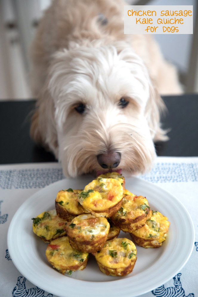 Chicken Sausage Kale Quiche for Dogs -- This dog-friendly recipe features mini crustless quiche | wearenotmartha.com