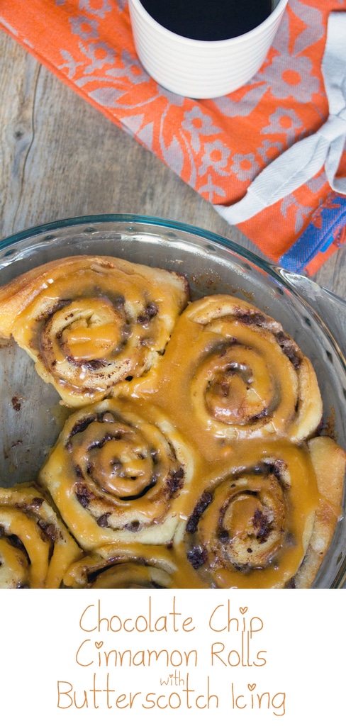 Chocolate Chip Cinnamon Rolls with Butterscotch Icing -- Are these Chocolate Chip Cinnamon Rolls with Butterscotch icing best for brunch or dessert? I'll let you decide just as long as you make these as soon as possible! | wearenotmartha.com #cinnamonrolls #chocolatechips #butterscotch #cinnamonbuns #brunch