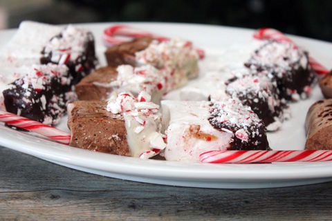 Chocolate-Covered-Peppermint-Marshmallow-1.jpg