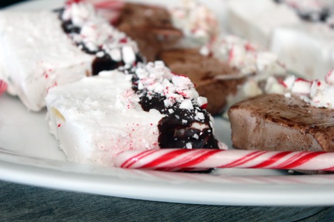 Chocolate-Covered-Peppermint-Marshmallow-5.jpg