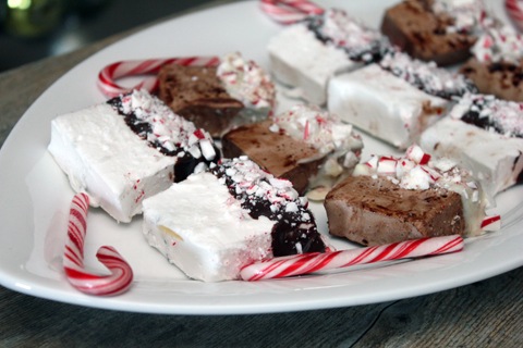 Chocolate-Covered-Peppermint-Marshmallow-7.jpg
