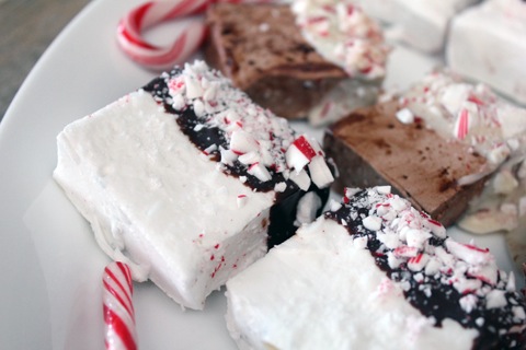 Chocolate-Covered-Peppermint-Marshmallow-8.jpg