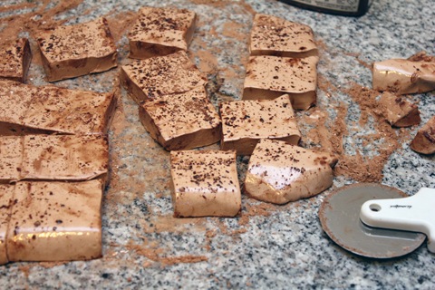 Chocolate-Covered-Peppermint-Marshmallow-Chocolate-Marshmallows-Cut.jpg