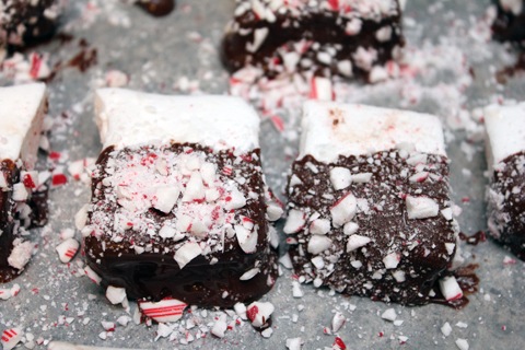 Chocolate-Covered-Peppermint-Marshmallow-Dipped-in-Chocolate-2.jpg